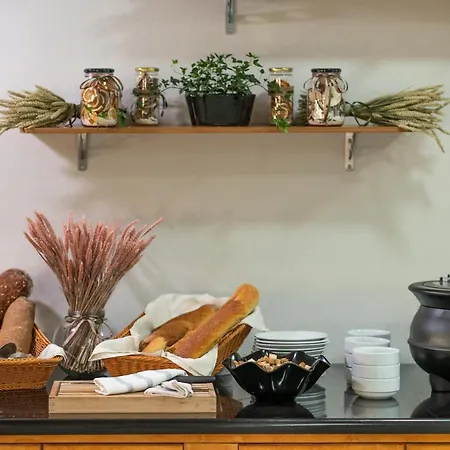 Cnic Gemini Mesongí